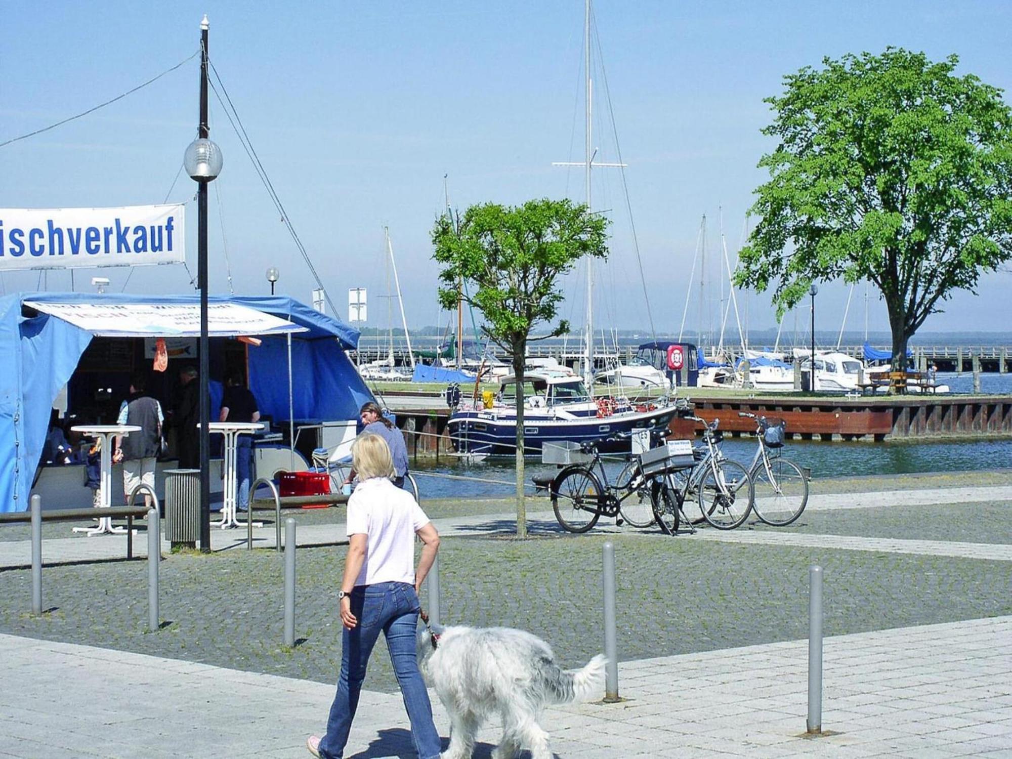 Ferienwohnung In Ribnitz-Damgarten Eksteriør billede